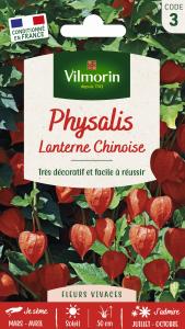 Physalis Lanterne Chinoise